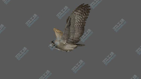 images/goods_img/20210312/3D Great Horned Owl Animated model/4.jpg